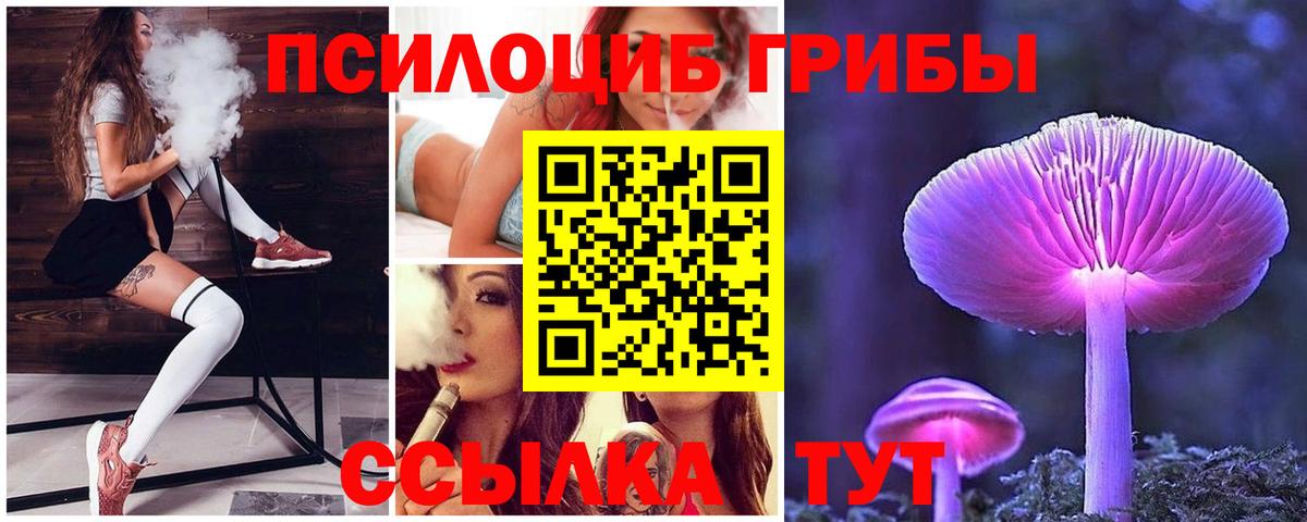 Галлюциногенные грибы GOLDEN TEACHER  Вход с VPN  Димитровград 
